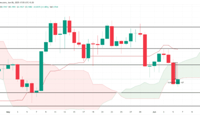 [Market & Price Analysis]