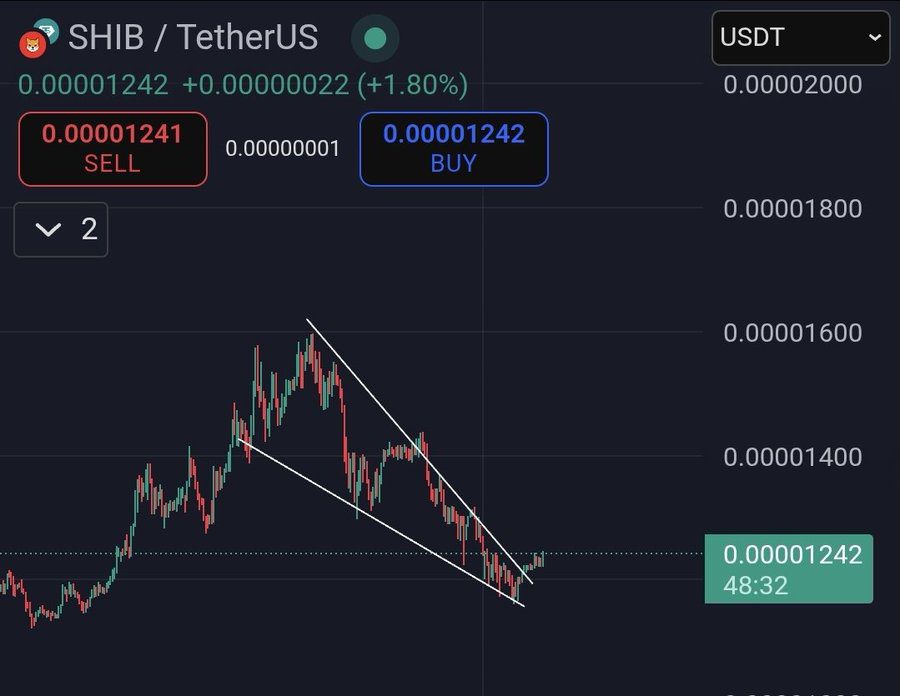 [Market & Price Analysis]