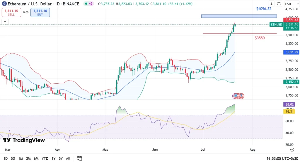 [Market & Price Analysis]