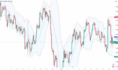 [Market & Price Analysis]