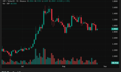 [Market & Price Analysis]